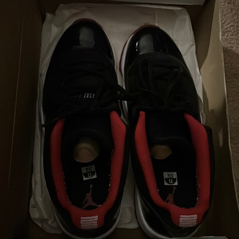 Bred Jordan 11 retros